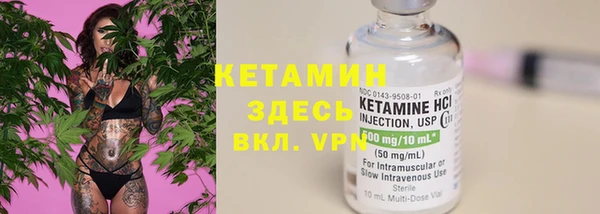 прущие грибы Армянск