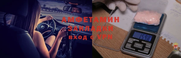 прущие грибы Армянск