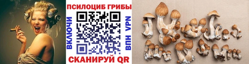 Псилоцибиновые грибы GOLDEN TEACHER  продажа наркотиков  мега маркетплейс  Мензелинск 