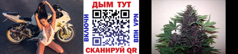 Шишки марихуана гибрид гидра ССЫЛКА это формула Мензелинск