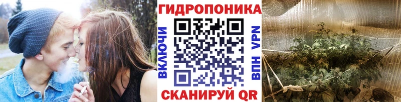 Шишки марихуана марихуана Мензелинск